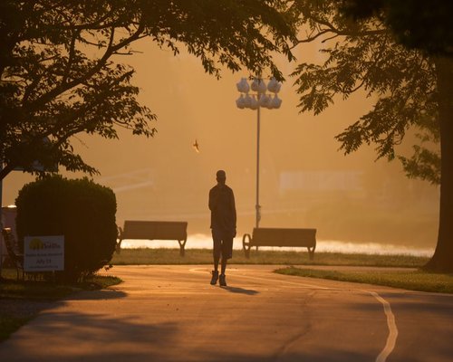 A quiet morning walk in a local urban park